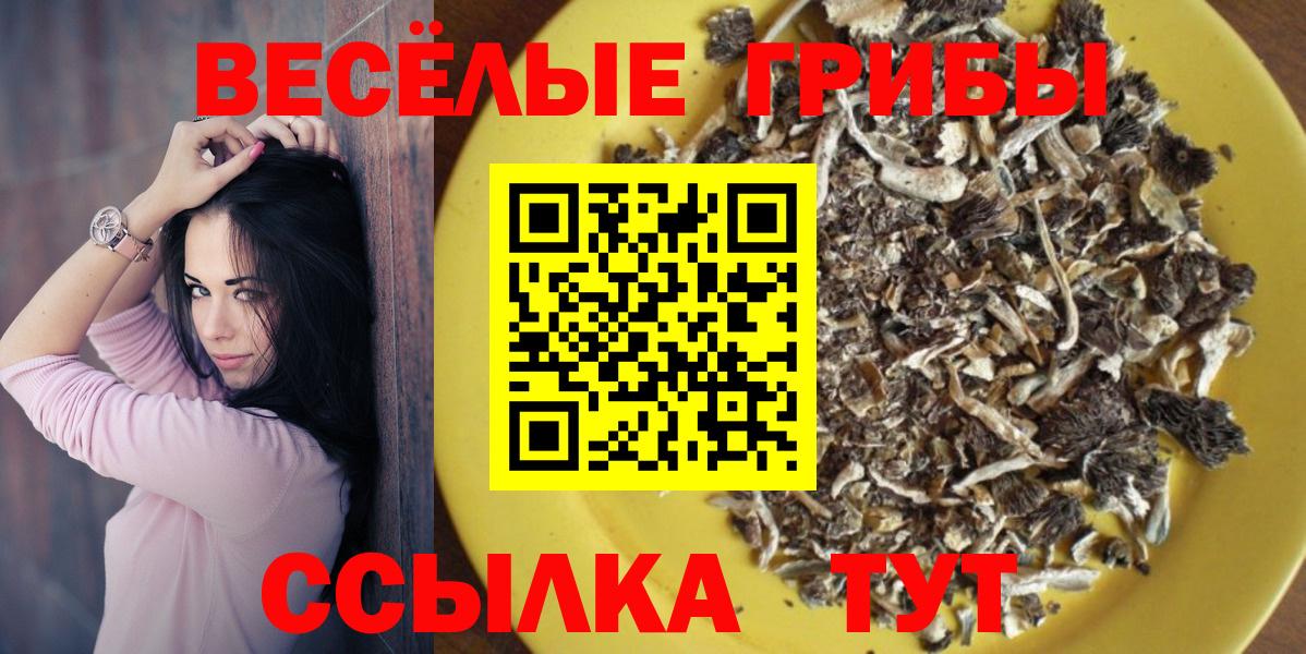 Псилоцибиновые грибы мицелий Чебоксары