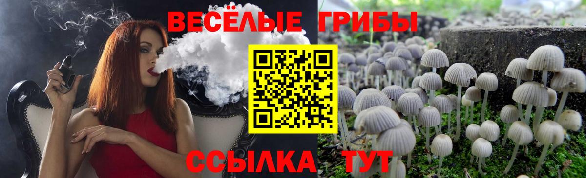 Псилоцибиновые грибы мицелий  Галлюциногенные грибы MAGIC MUSHROOMS  Вход с VPN  Чебоксары 